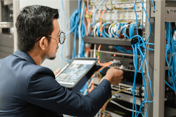 Programming vs. Networking: Which IT Career Path Is Right for You?